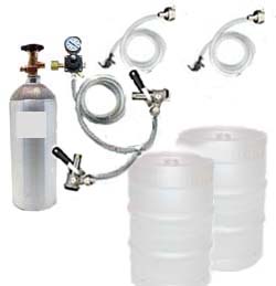 (image for) 2 Keg Basic Conversion System