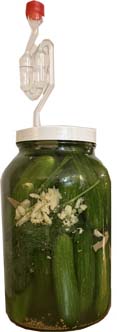 (image for) Pickling Kit with Recipe and instructions. (10 to 15 pickles)