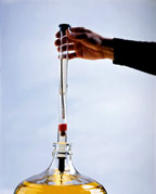 (image for) The Theif/test jar combo (19'' long)