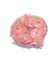 (image for) Grolsch Gaskets 100 (flip top, EZ cap)