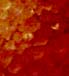 (image for) Dark Belgian Candy Sugar 1 lb