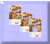 (image for) Spagnols Breezin Fruited Wine Kits