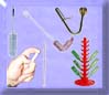 (image for) Bottle Cleaning & Filling