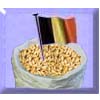(image for) Belgian Malt (Malted Grain)
