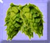 (image for) Whole Hops