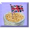 (image for) UK Malt (Malted Grain)