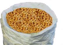 (image for) Weyermann Light Crystal Caramunich 1(38-46LV) (2row) German 1oz