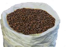 (image for) Briess Midnight Wheat Malt 1oz