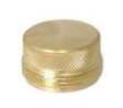 (image for) Faucet Cap/Plug