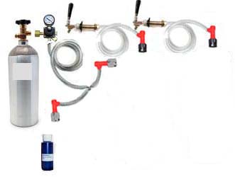 (image for) 2 Keg Refrigerator Homebrew CO2 System (Pin Lock without kegs)