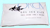 (image for) Ice Pack for Shipping