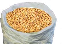 (image for) Dingmans Belgian Caramunich 45 / cara munich 1oz