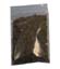 (image for) Irish Moss 1oz