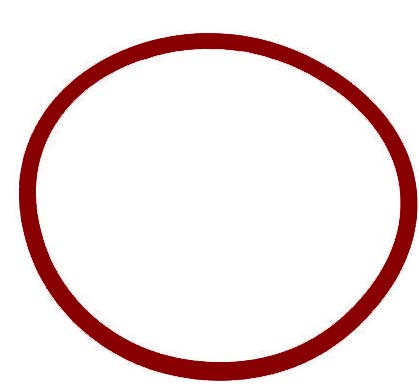 (image for) Riptide Brewing Pump O-Ring