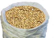 (image for) Rahr White Wheat 1oz