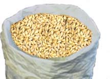 (image for) Rahr Pale Ale (2 row) Domestic 1oz