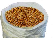 (image for) Breiss Special Roast (2row) Domestic 1oz